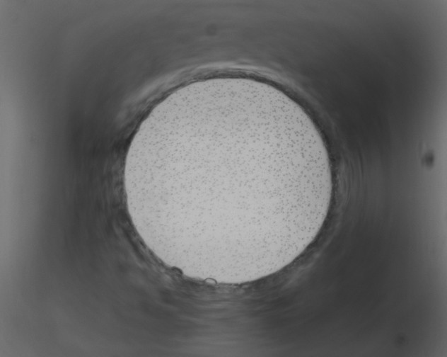X0000115761494200912241718