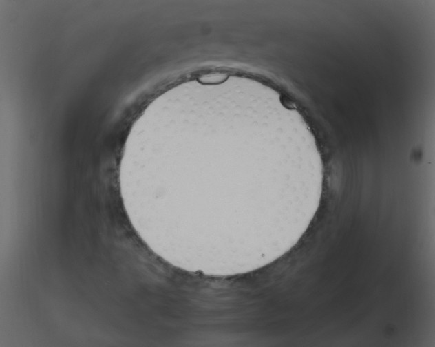 X0000115761495200912241718