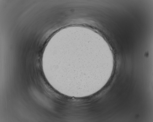 X0000115761497200912241718