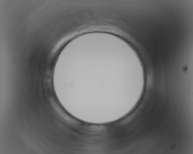 X0000115761498200912241718