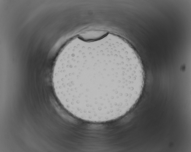 X0000115761499200912241718