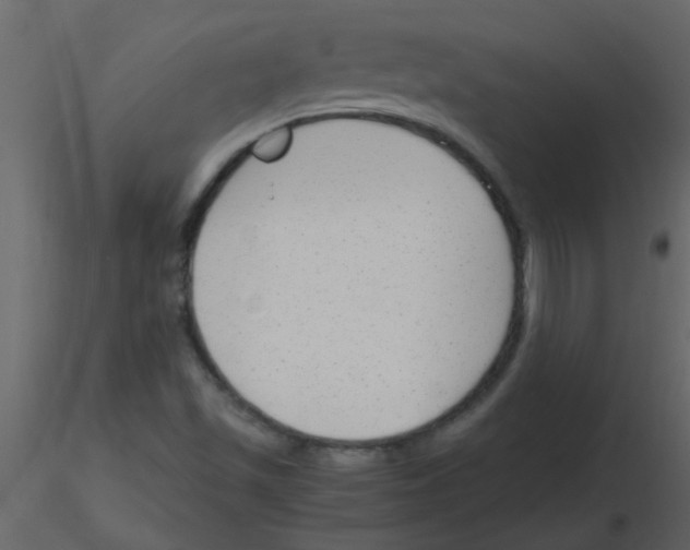 X0000115761501200912241718