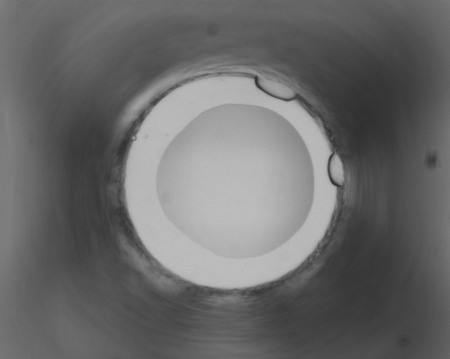 X0000115761502200912241718