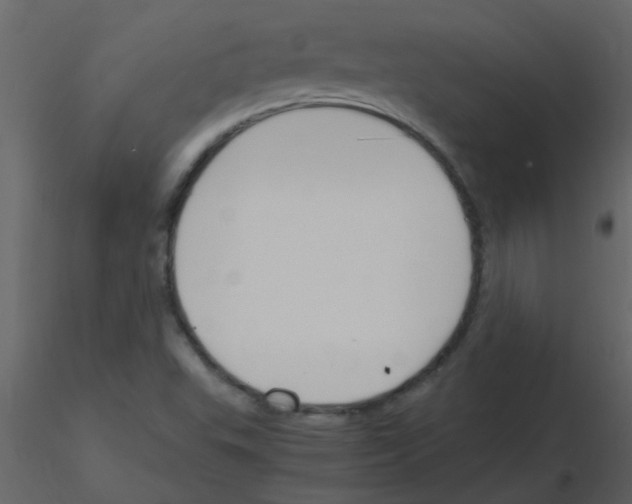 X0000115761503200912241718