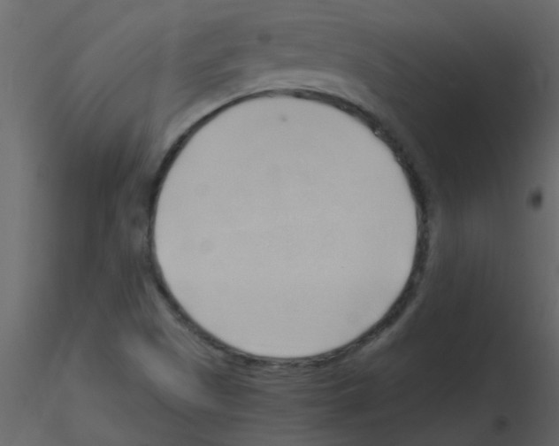 X0000115761505200912241718