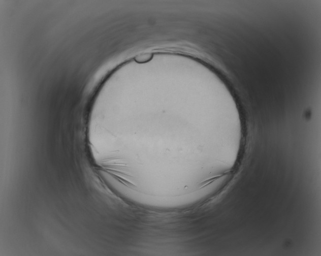 X0000115761506200912241718