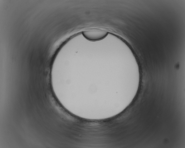 X0000115761507200912241718