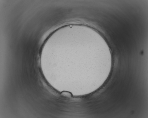 X0000115761509200912241718