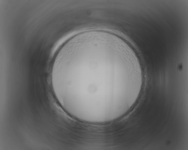 X0000115761510200912241718