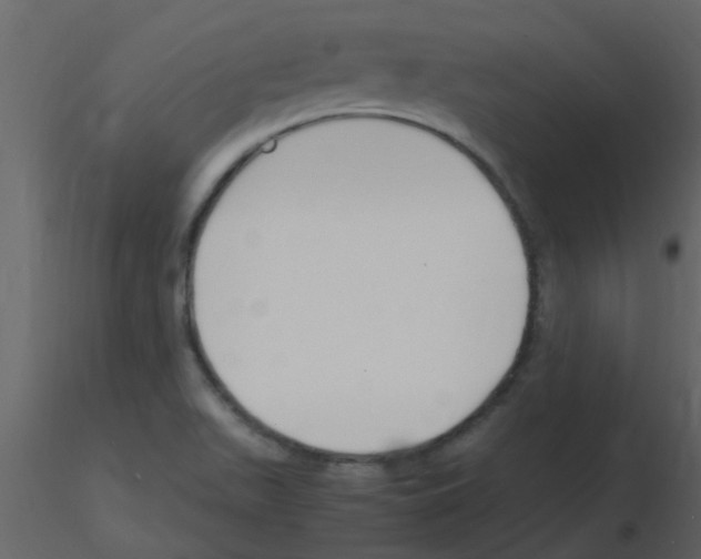 X0000115761511200912241718