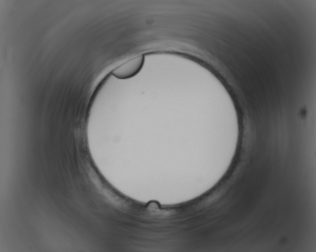 X0000115761513200912241718
