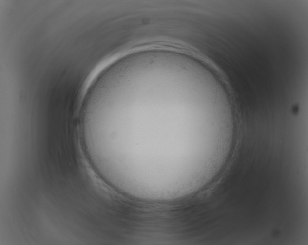 X0000115761514200912241718