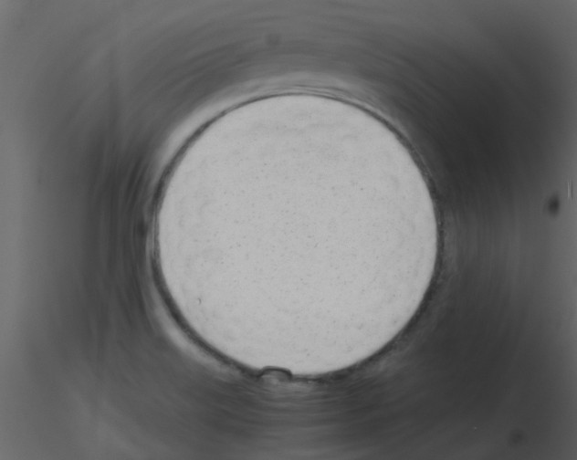 X0000115761515200912241718