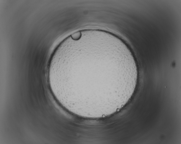 X0000115761517200912241718