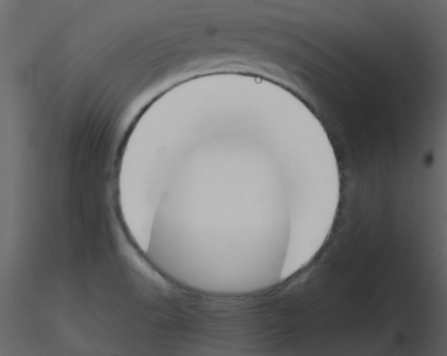 X0000115761518200912241718