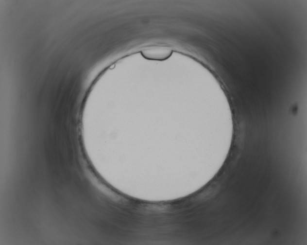X0000115761519200912241718