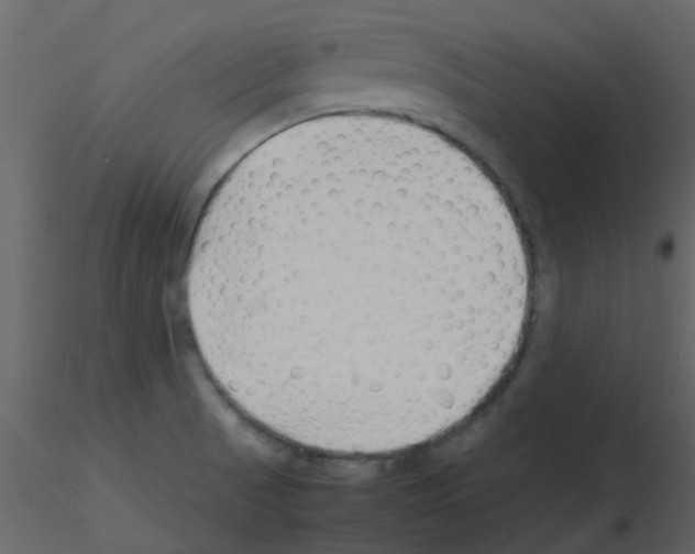 X0000115761521200912241718