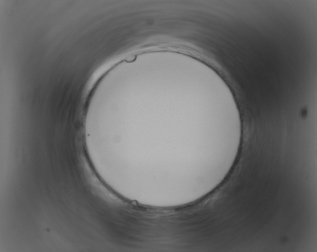 X0000115761522200912241718