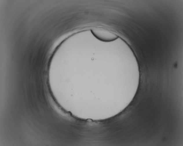 X0000115761523200912241718