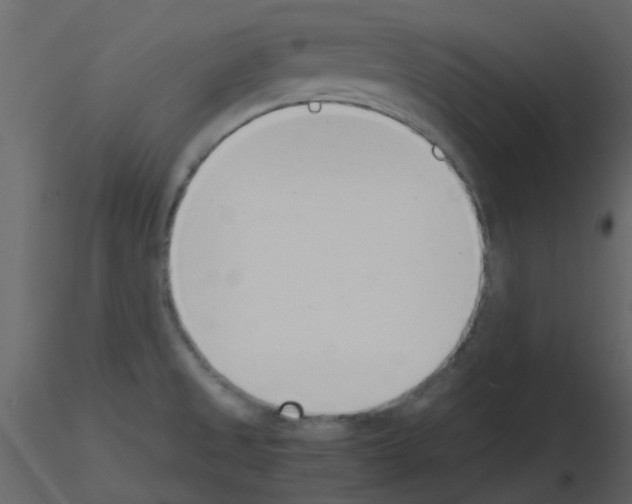 X0000115761525200912241718