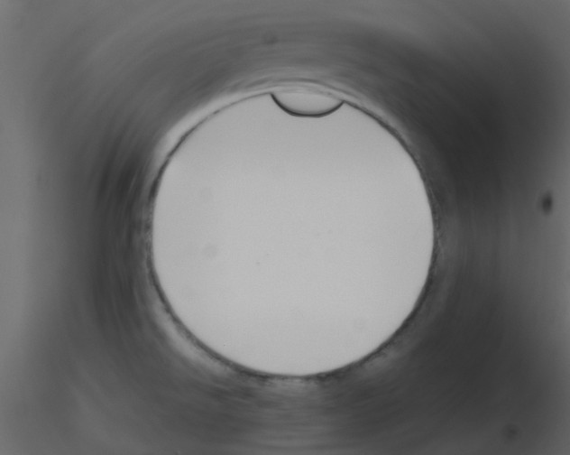 X0000115761526200912241718