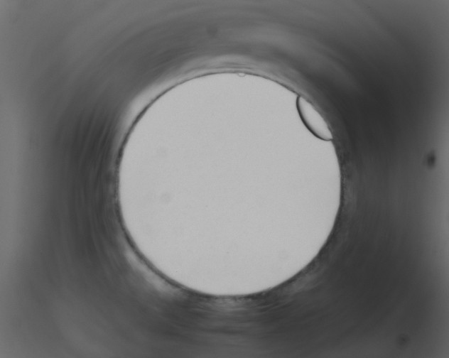 X0000115761527200912241718