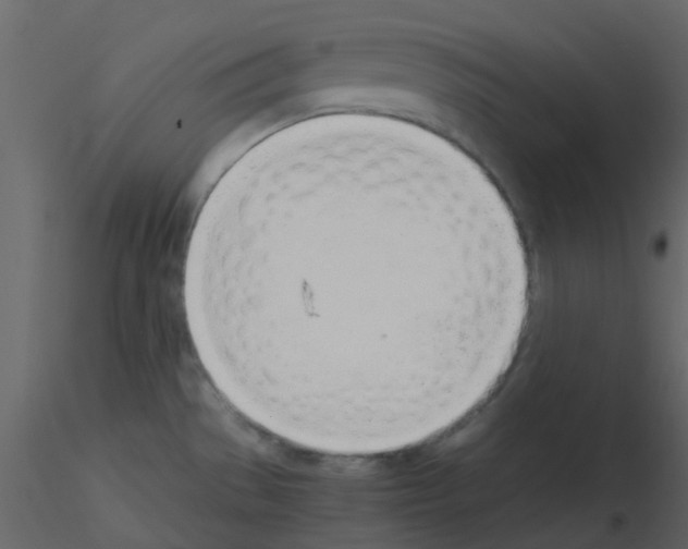 X0000115761529200912241718