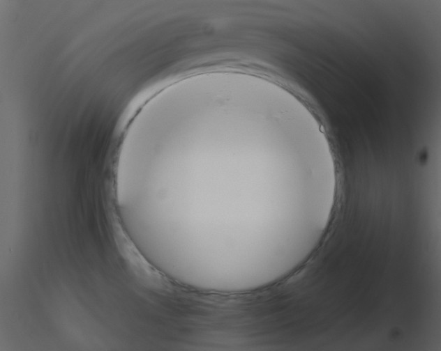 X0000115761530200912241718