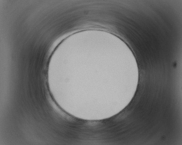 X0000115761531200912241718