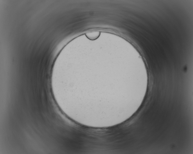 X0000115761533200912241718