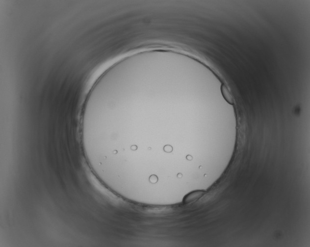X0000115761535200912241718