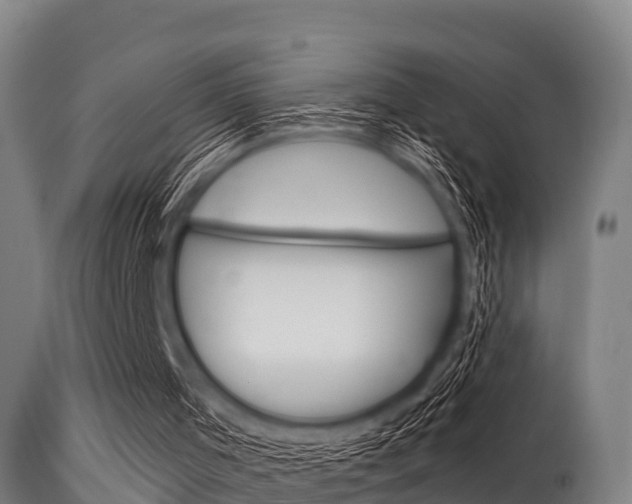 X0000115770001200911131031