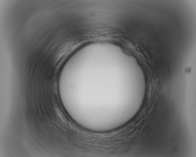 X0000115770002200911131031