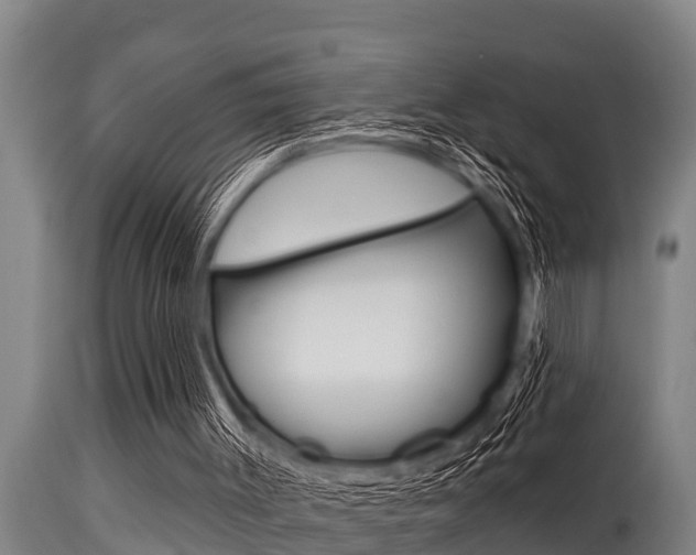 X0000115770003200911131031