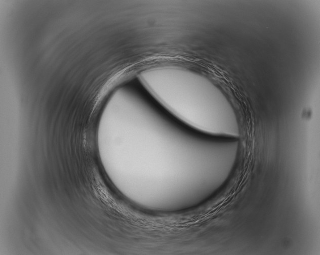 X0000115770004200911131031