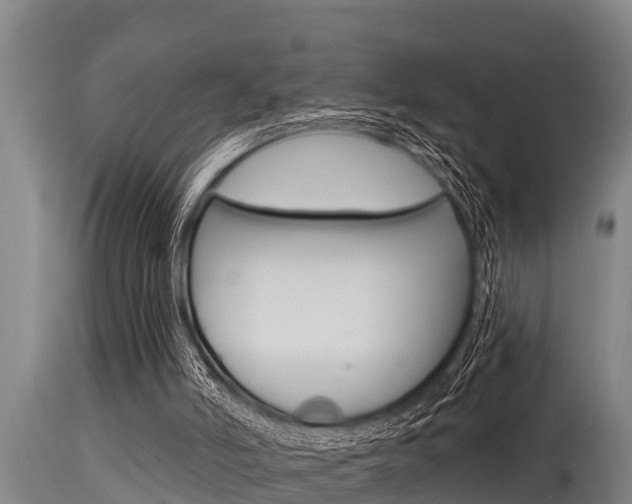 X0000115770006200911131031