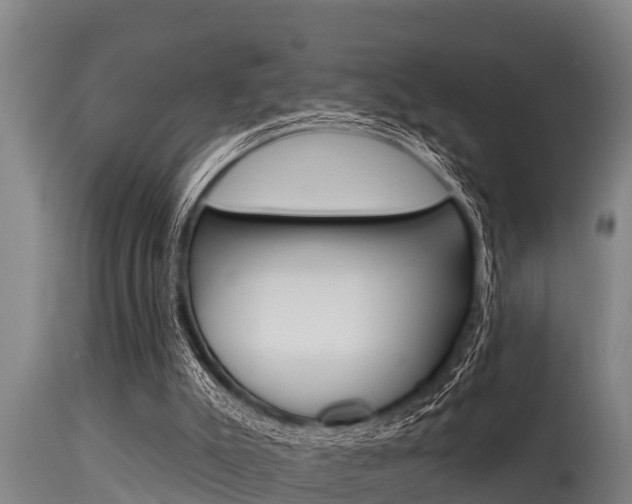 X0000115770007200911131031