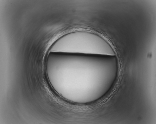X0000115770008200911131031