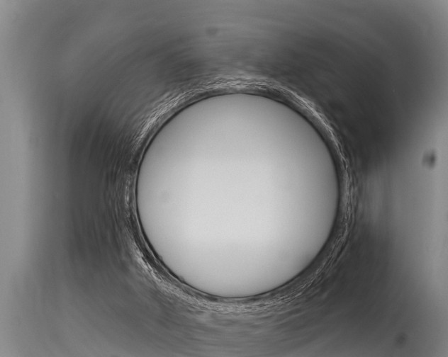 X0000115770010200911131031