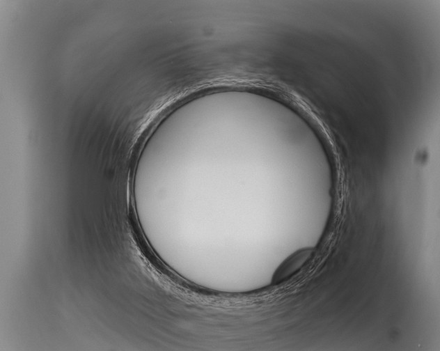 X0000115770011200911131031