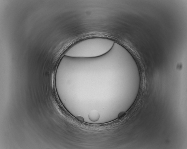 X0000115770014200911131031