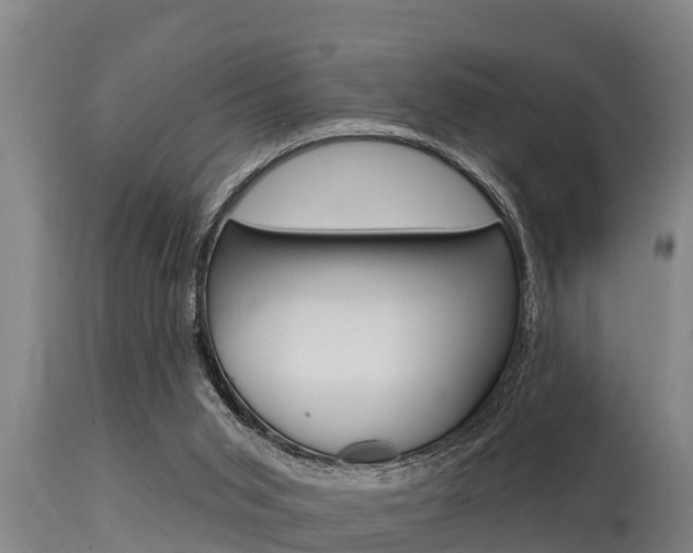 X0000115770015200911131031