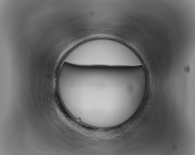 X0000115770016200911131031