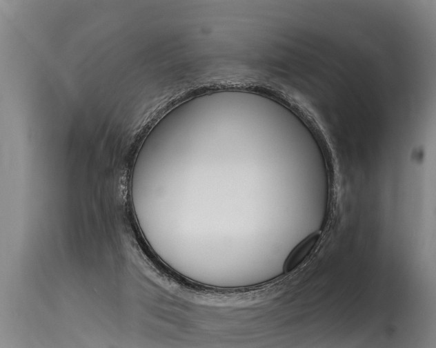 X0000115770017200911131031