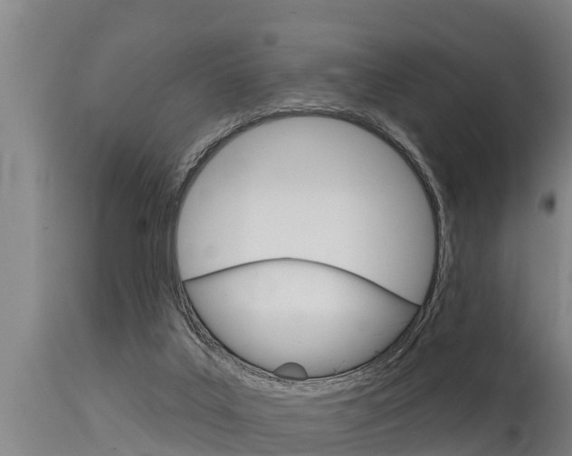 X0000115770019200911131031