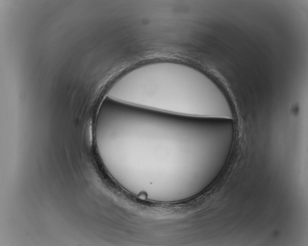 X0000115770020200911131031