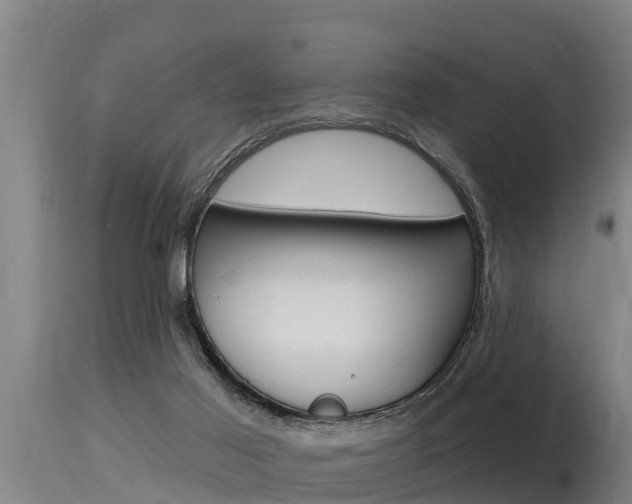 X0000115770021200911131031