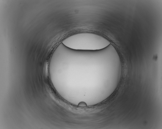 X0000115770022200911131031