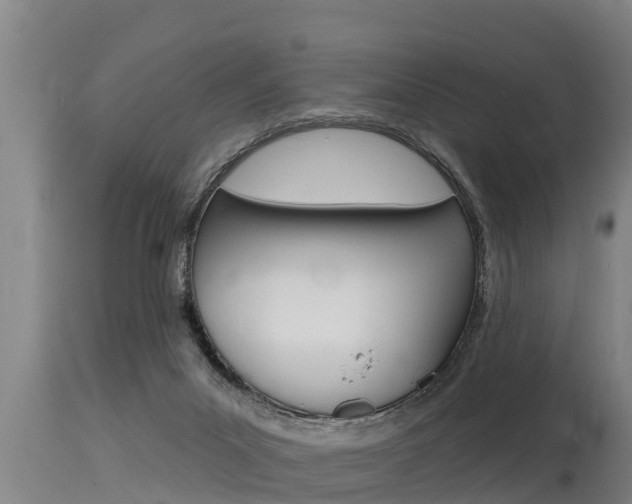 X0000115770023200911131031