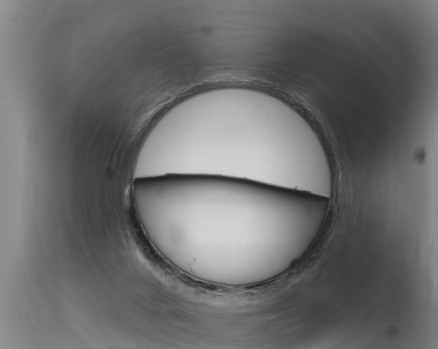 X0000115770024200911131031